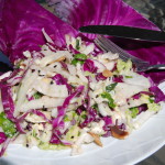Asian Cabbage & Fennel Slaw